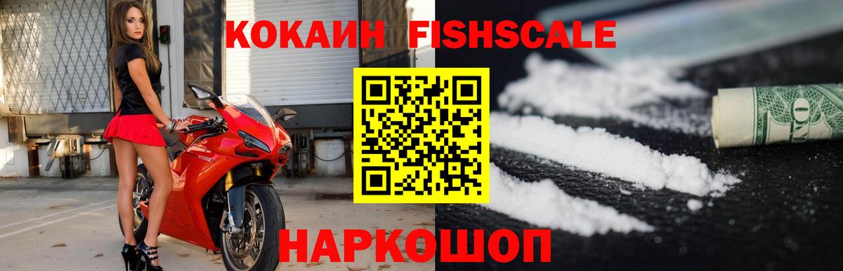 Cocaine Fish Scale  Вход с VPN  Южноуральск  Cocaine Columbia 
